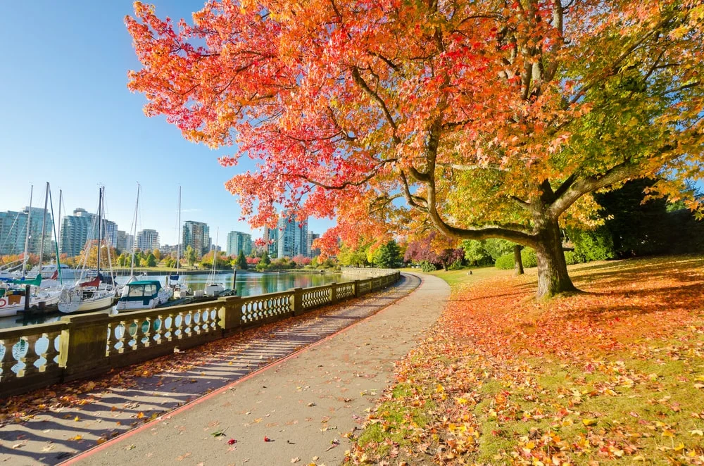 Vancouver Parks and Green Spaces