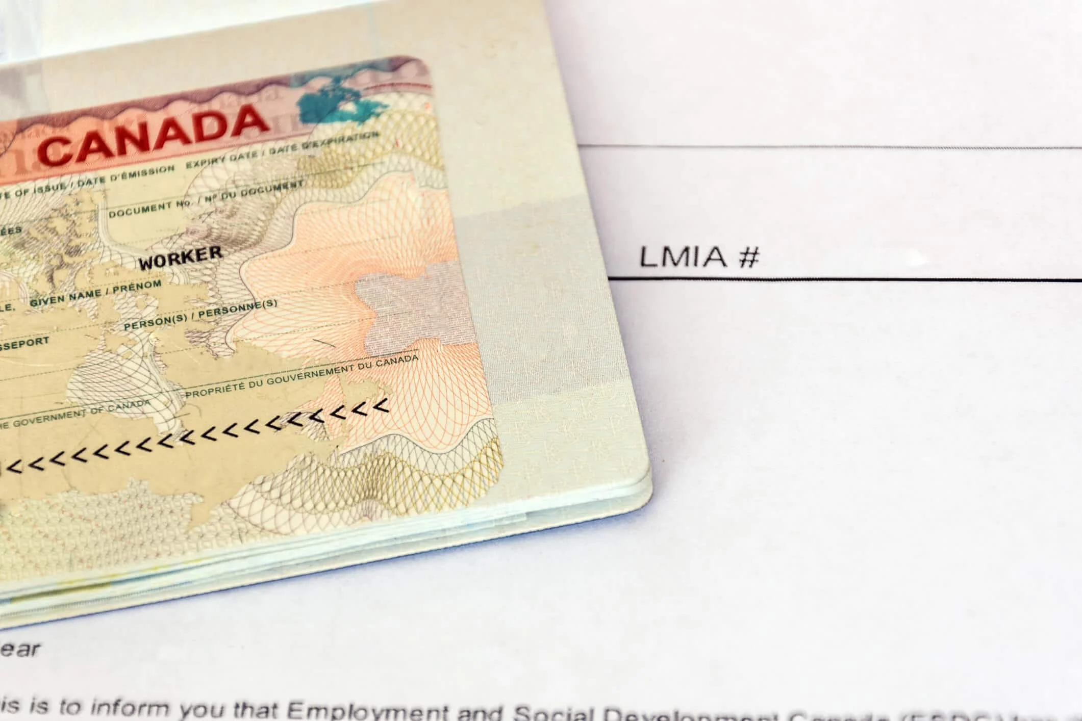Labour Market Immigration Act